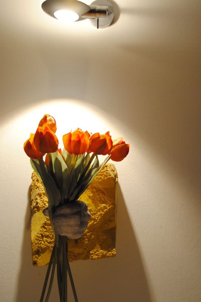 Tulpen + Licht